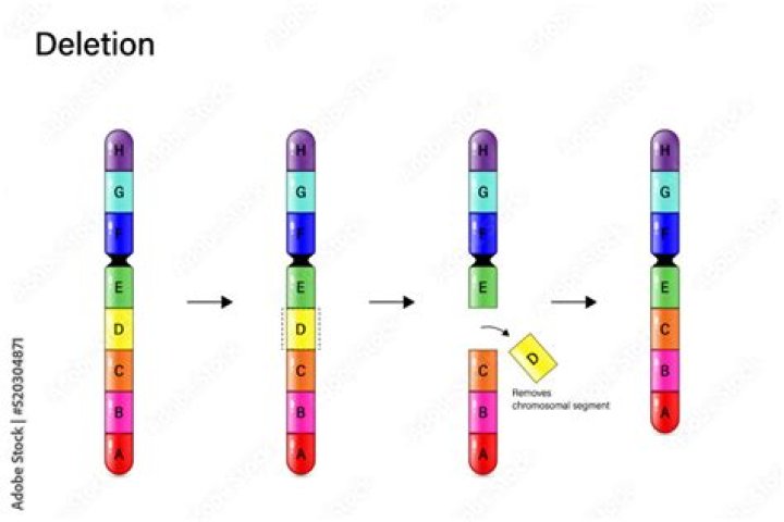 Are chromosome deletions common?