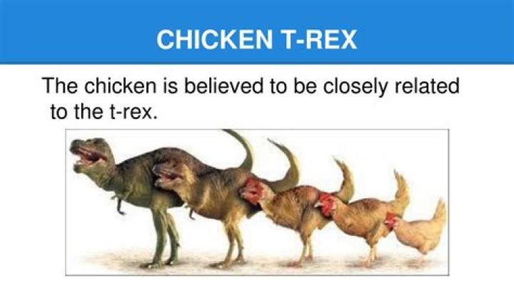 Are cookeen and trex the same?