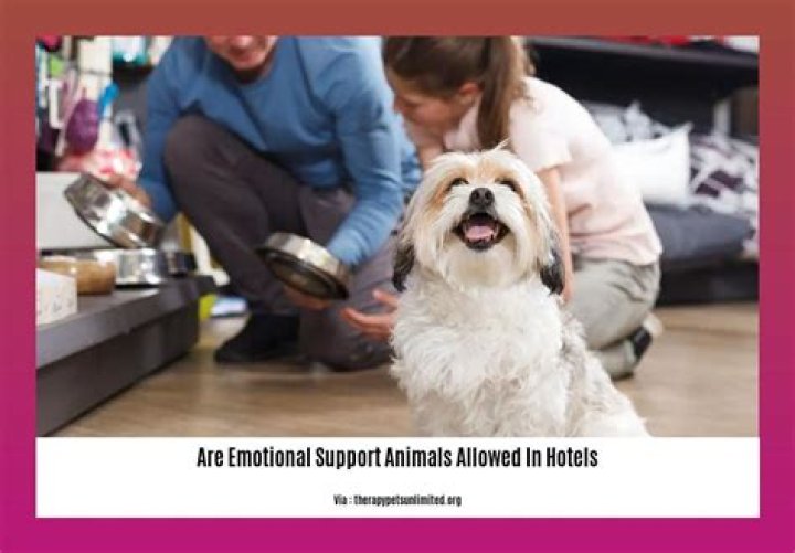Are emotional support animals allowed in hotels?