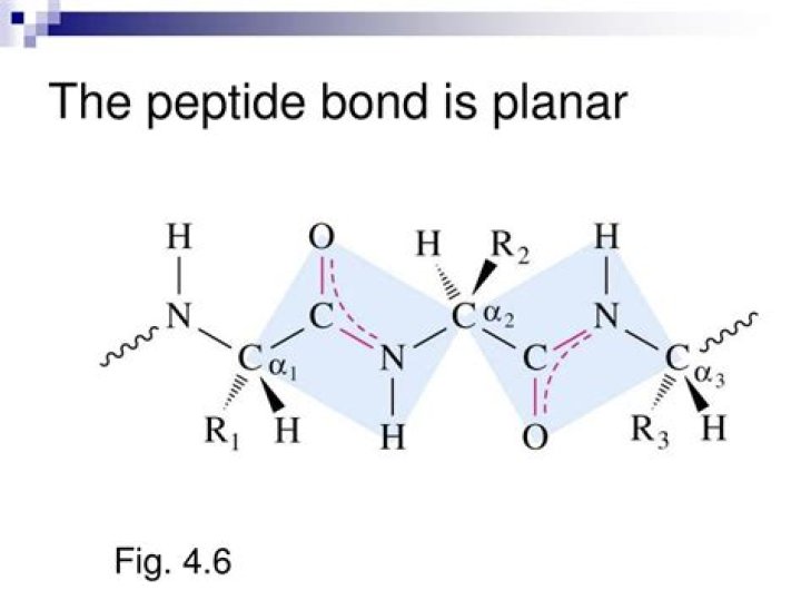 Are peptide bond planar?