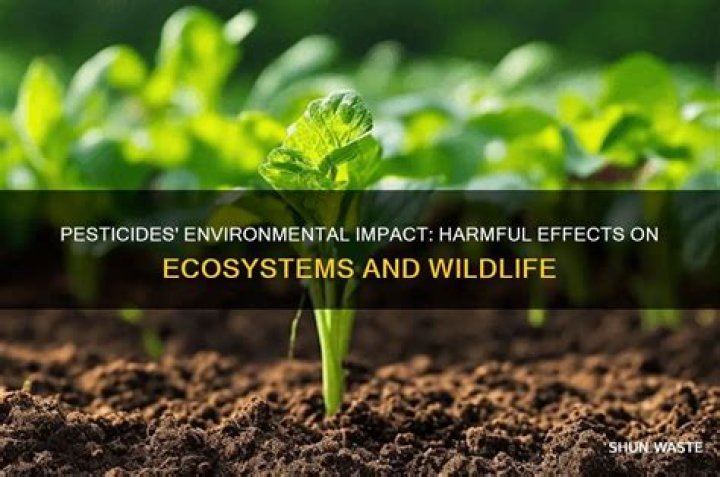 Are pesticides bad for the environment?