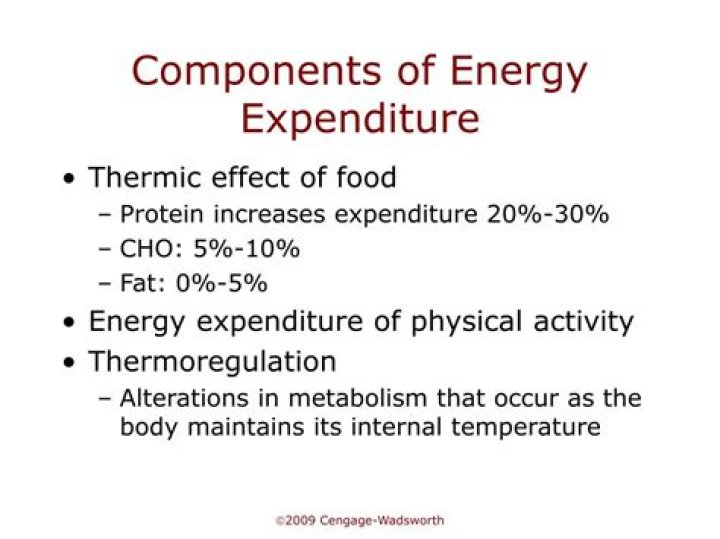 Are the components of energy expenditure?