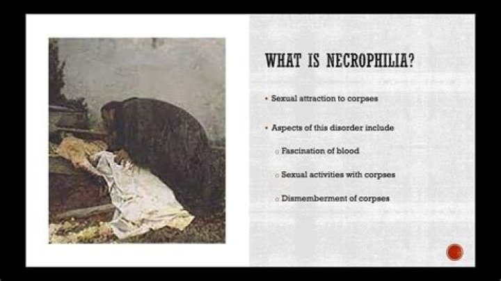 At does necrophilia mean?