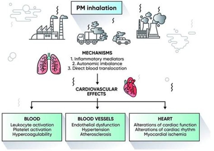 Can air pollutants cause a stroke?