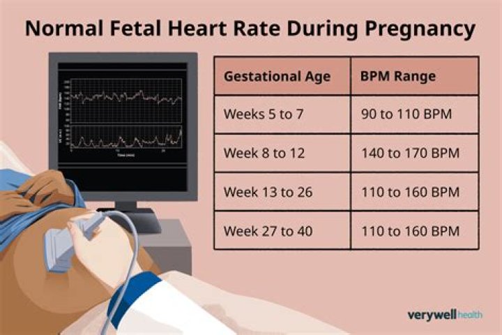 Can first trimester increase heart rate?