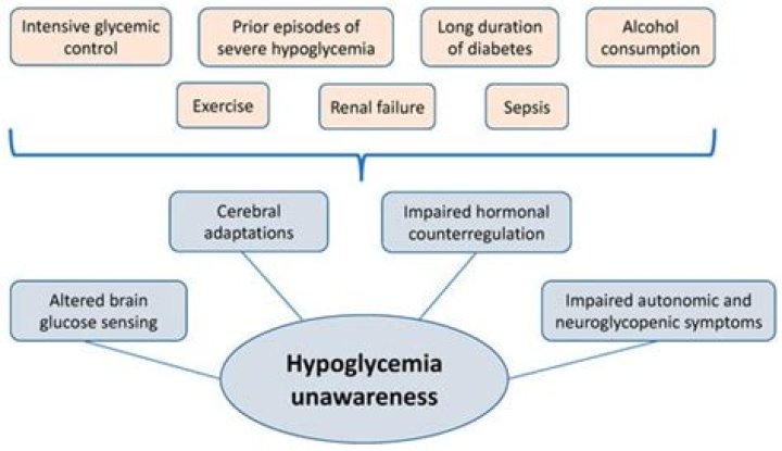 Can hypoglycemia unawareness be reversed?