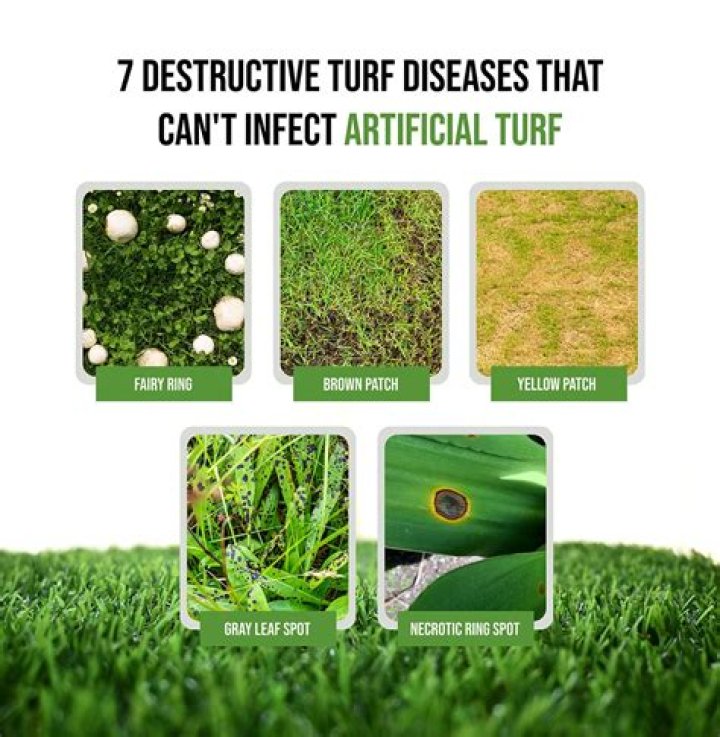 Can turf cause cancer?