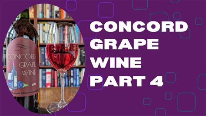 Can you make wine from concord grapes?