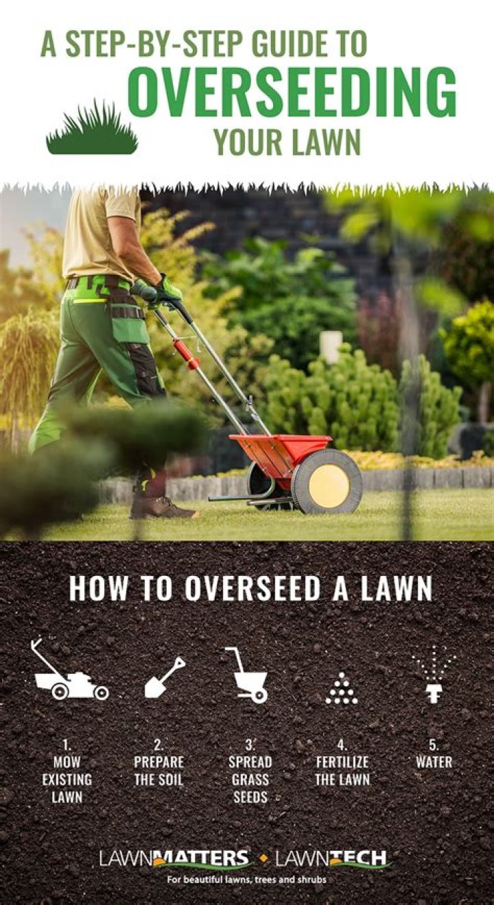 Can you overseed more than once?