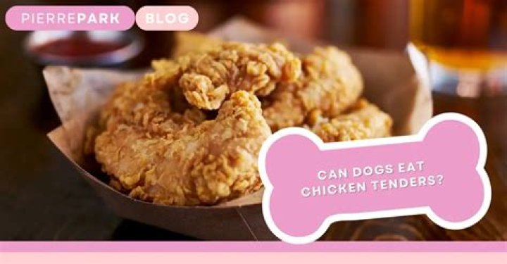 Could dogs eat chicken tenders?