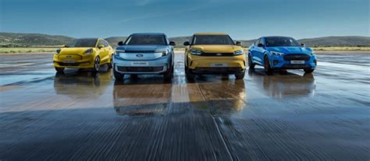 Could ford go private?