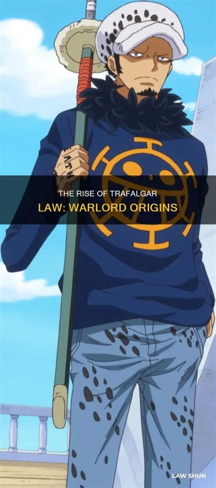 Did trafalgar law become a warlord?