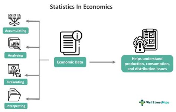 Do economists use data?