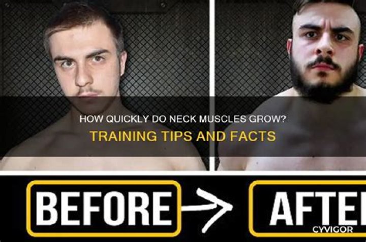 Do neck muscles grow fast?