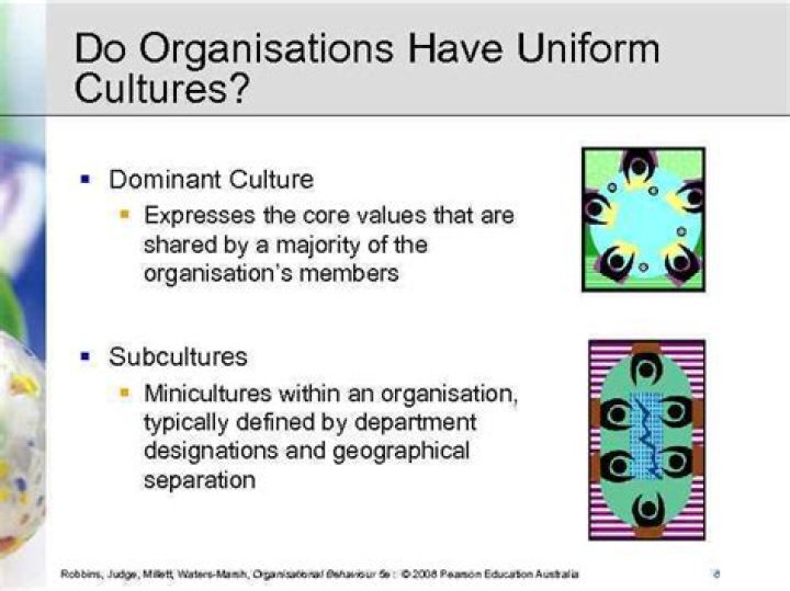 Do organisations have uniform culture?