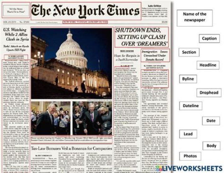 Do you think the contents in the newspapers are reliable?