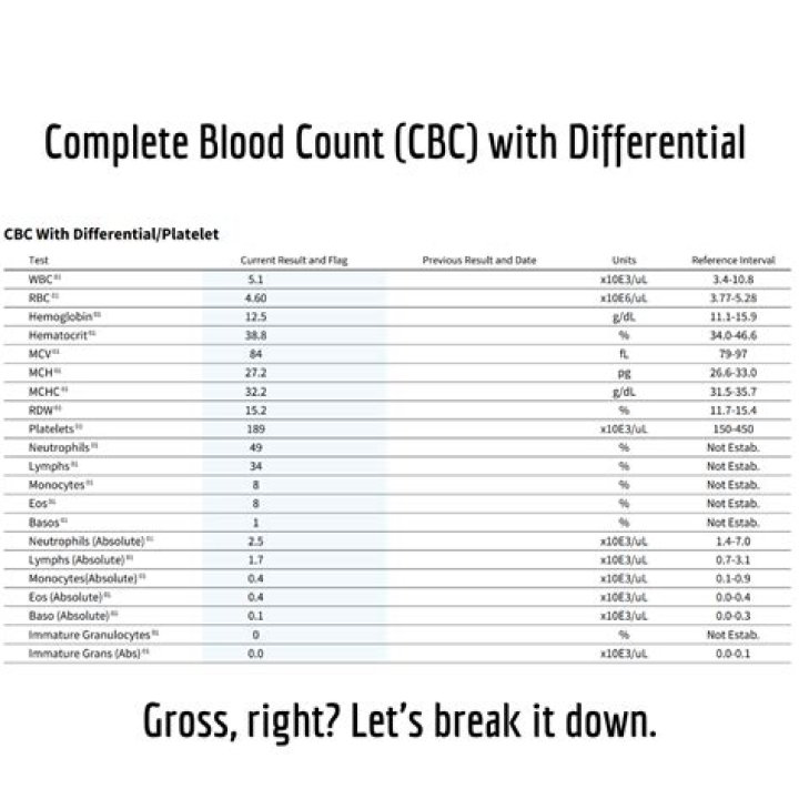 Does cbc with diff include anc?