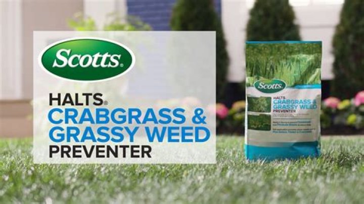 Does halts kill grass seed?