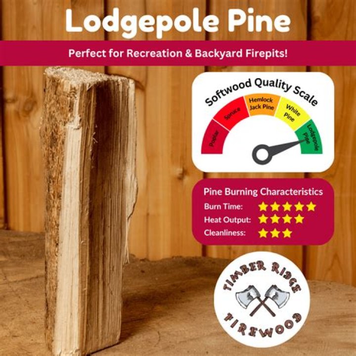 Does lodgepole pine burn good?