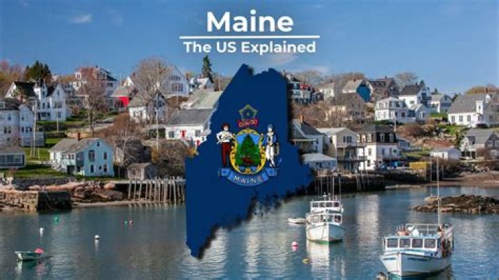 Does maine have pseudoscorpions?