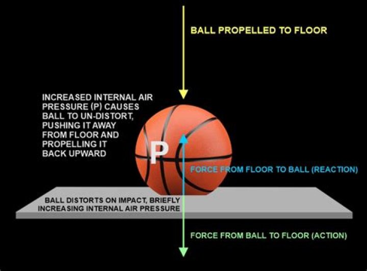 Does the size of a ball affect how high it bounces?