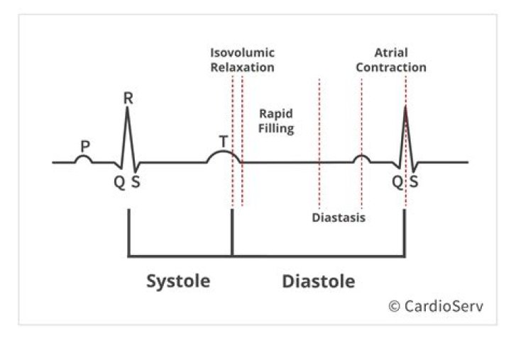 During late ventricular relaxation?