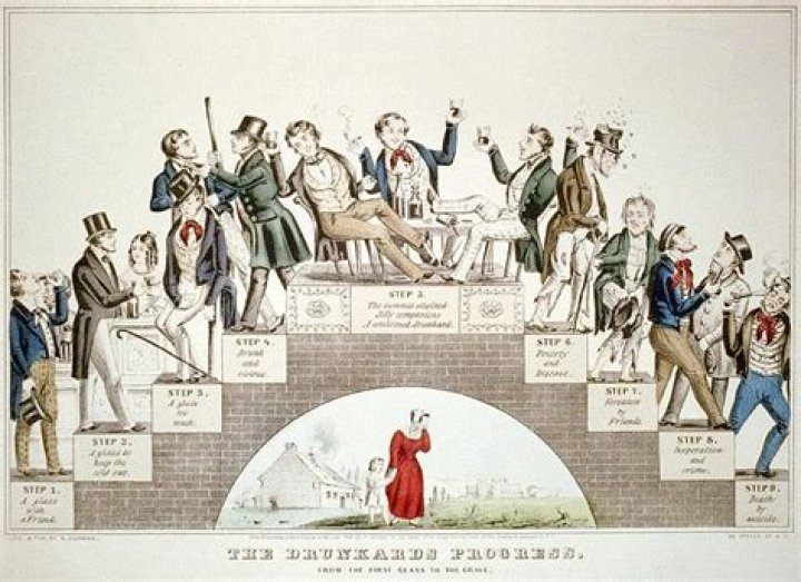 During the period of temperance the following substance was banned?