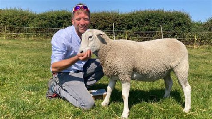 Has julian norton left the yorkshire vet?