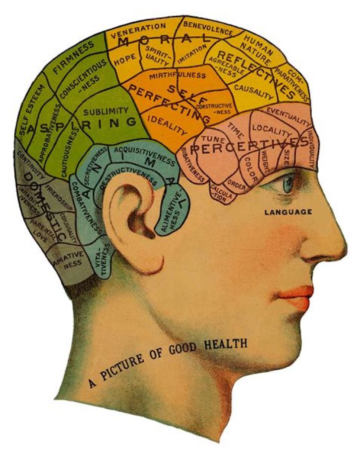 How did phrenology contribute to psychology?