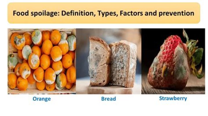 How food spoilage can be prevented?