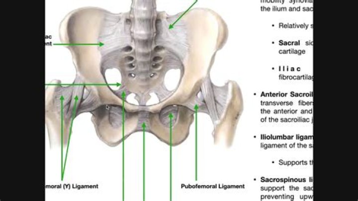 How many sacroiliac joints are there?