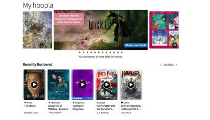 How much does hoopla cost?