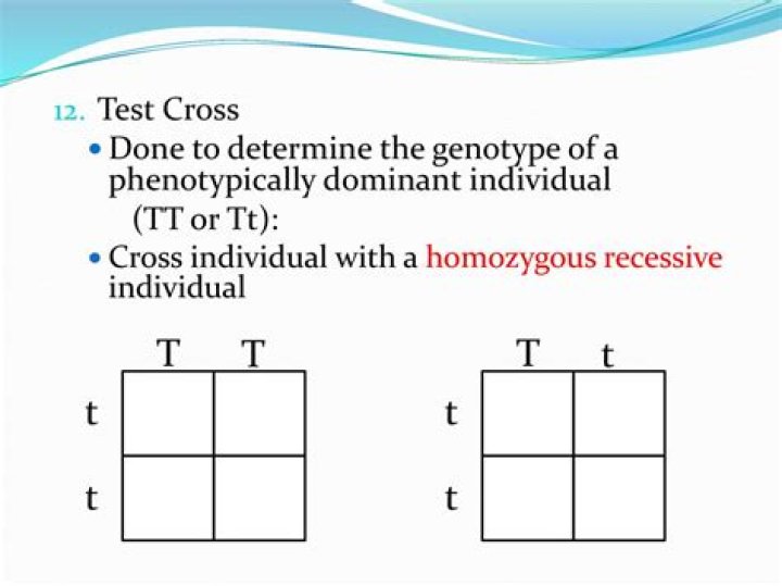How to determine test cross?
