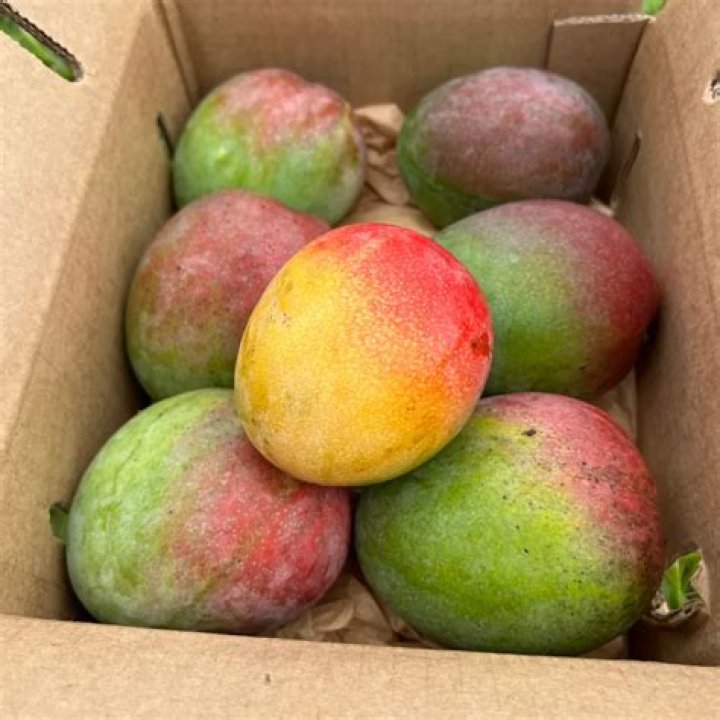 How to ripe haden mango?