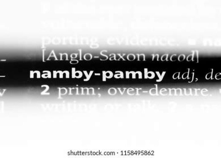 How to use the word namby-pamby?