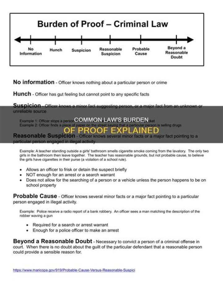 In criminal cases the burden of proof is?