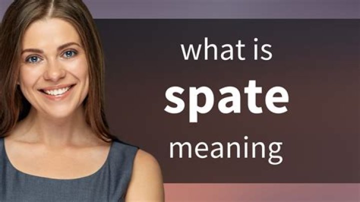 In the spate of definition?
