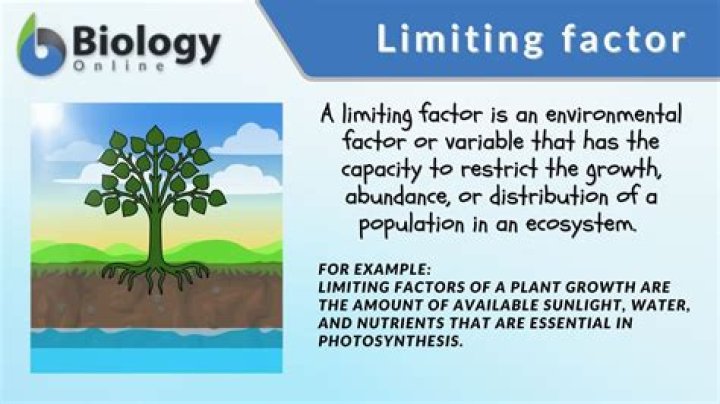 In this situation what was the limiting factor?