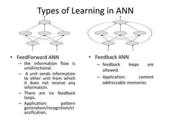 In which ann loops are allowed?