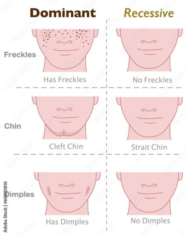 Is a dimpled chin dominant or recessive?