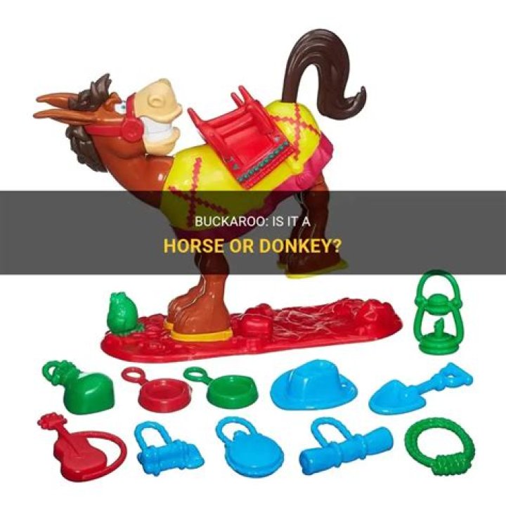 Is buckaroo a horse or donkey?
