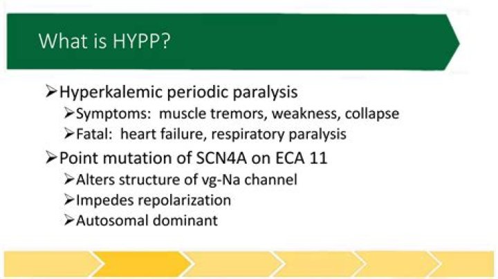 Is hyperkalemic periodic paralysis autosomal dominant?