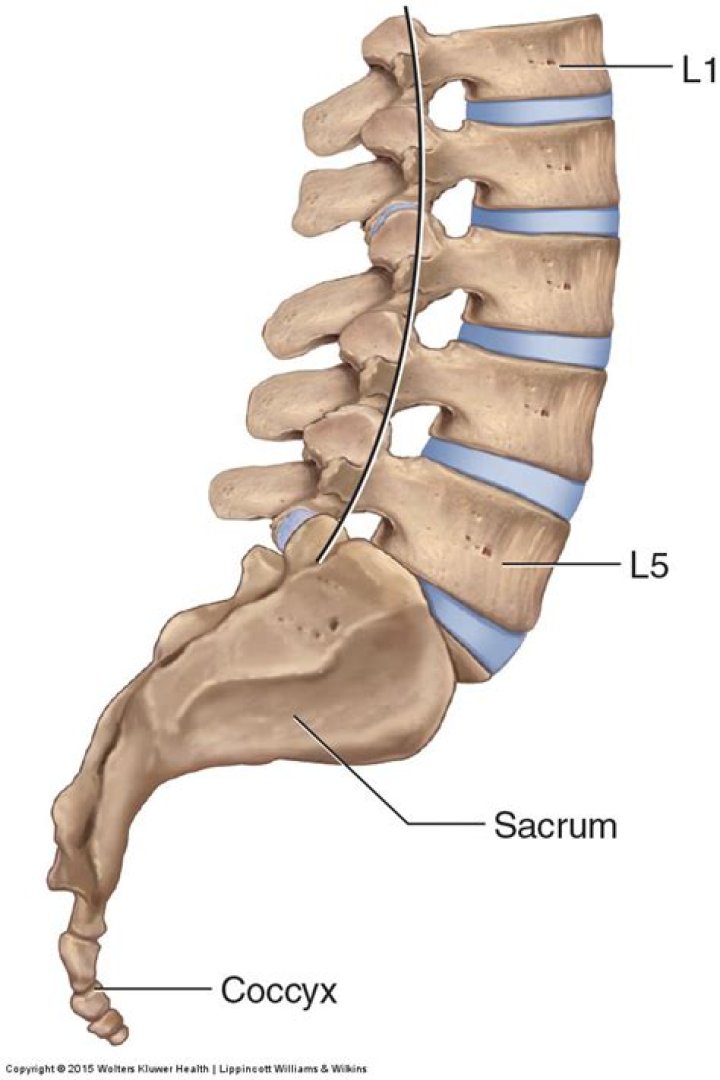Is lumbosacral a word?