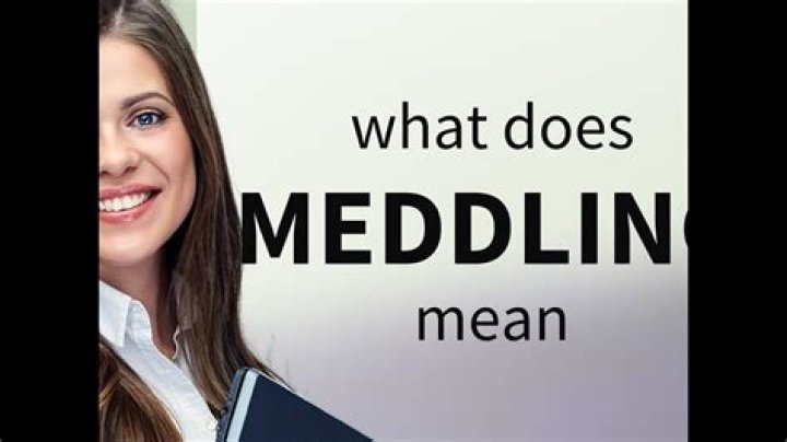 Is meddling a legal term?