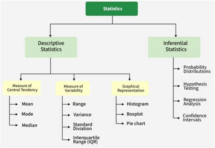 Is statistics a major?