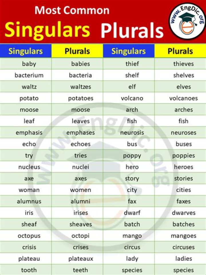 Is tanka singular or plural?