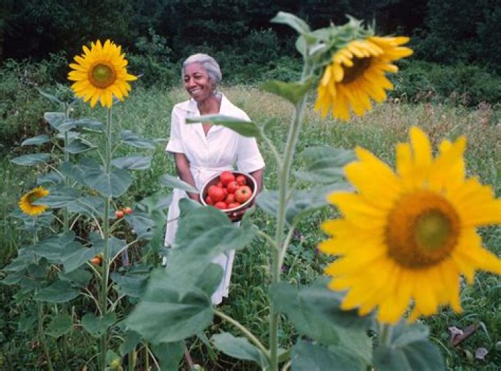 Was edna lewis married?