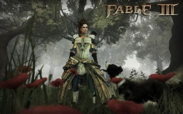 Was fable 3 on pc?