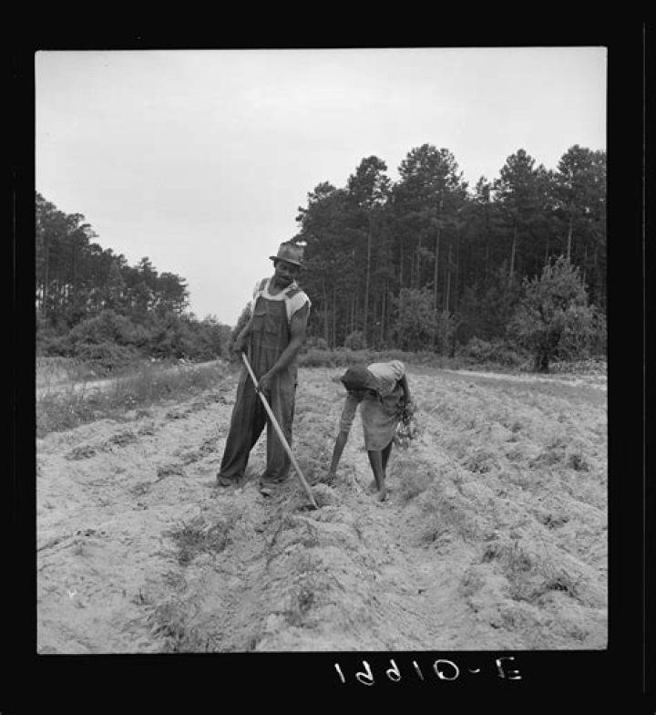 Were sharecroppers able to buy land?
