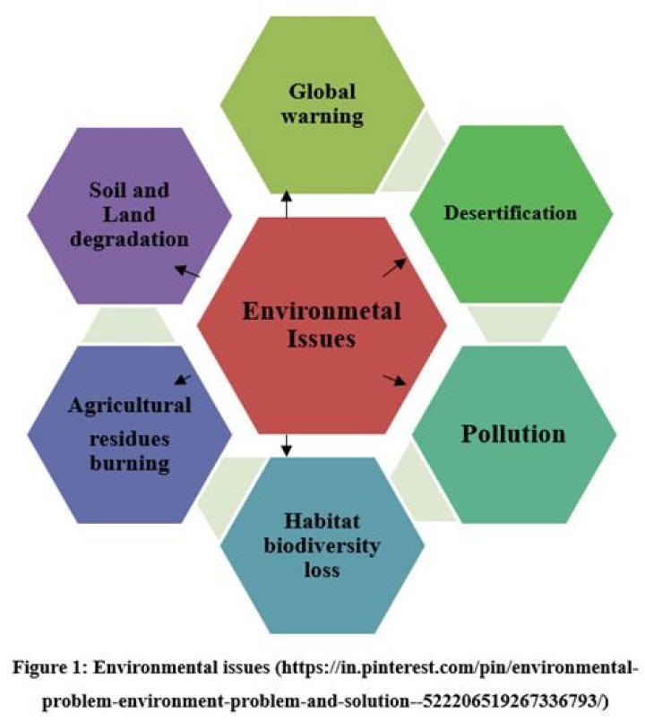 What are environmental externalities?